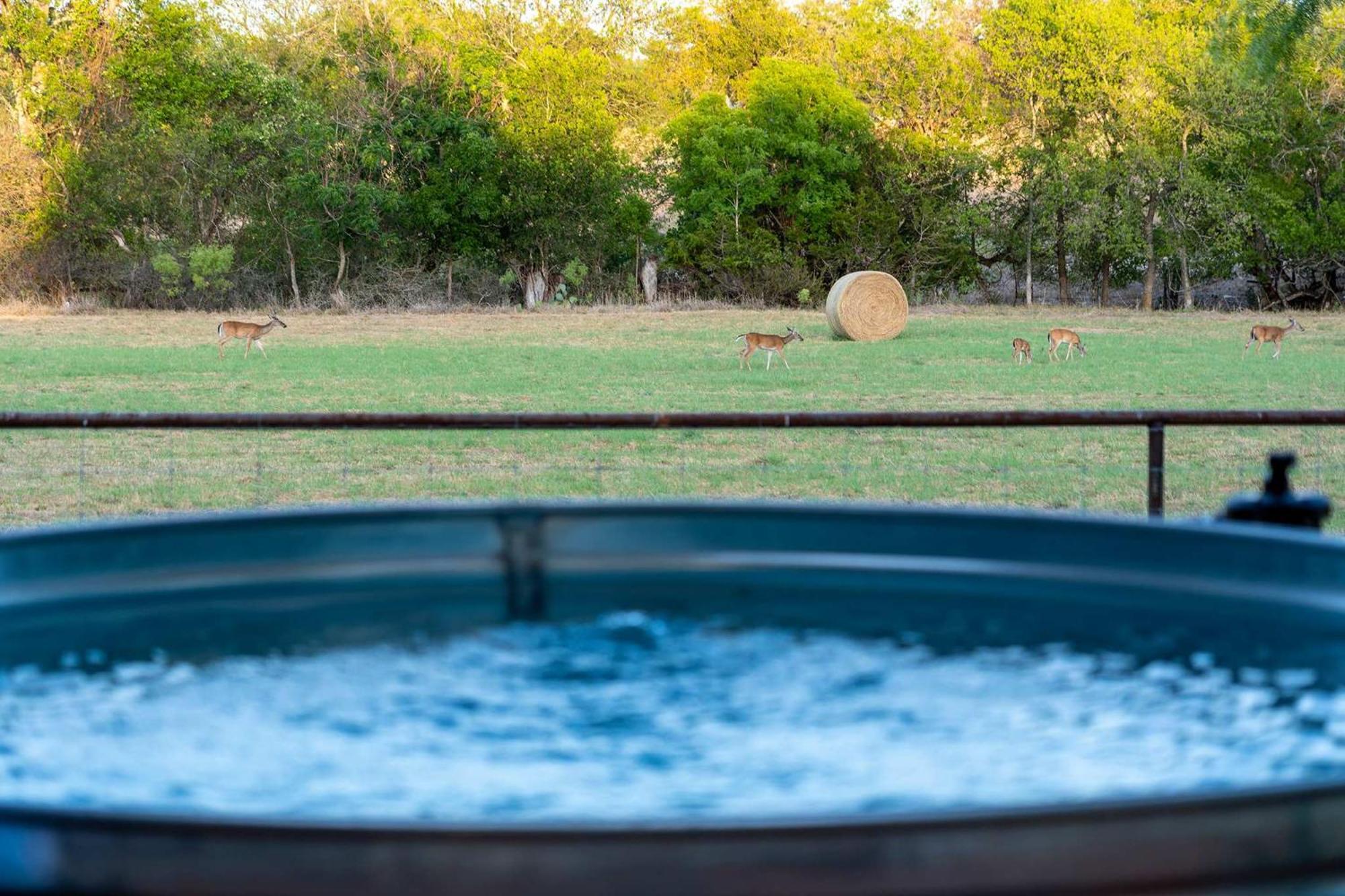 Vila Container Haus Pet Friendly With Cowboy Pool Fredericksburg Exteriér fotografie